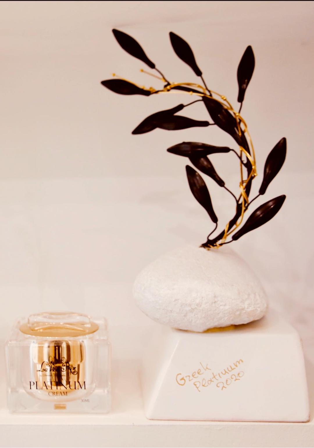 Platinum Award - Michalis Kakogiannis Foundation