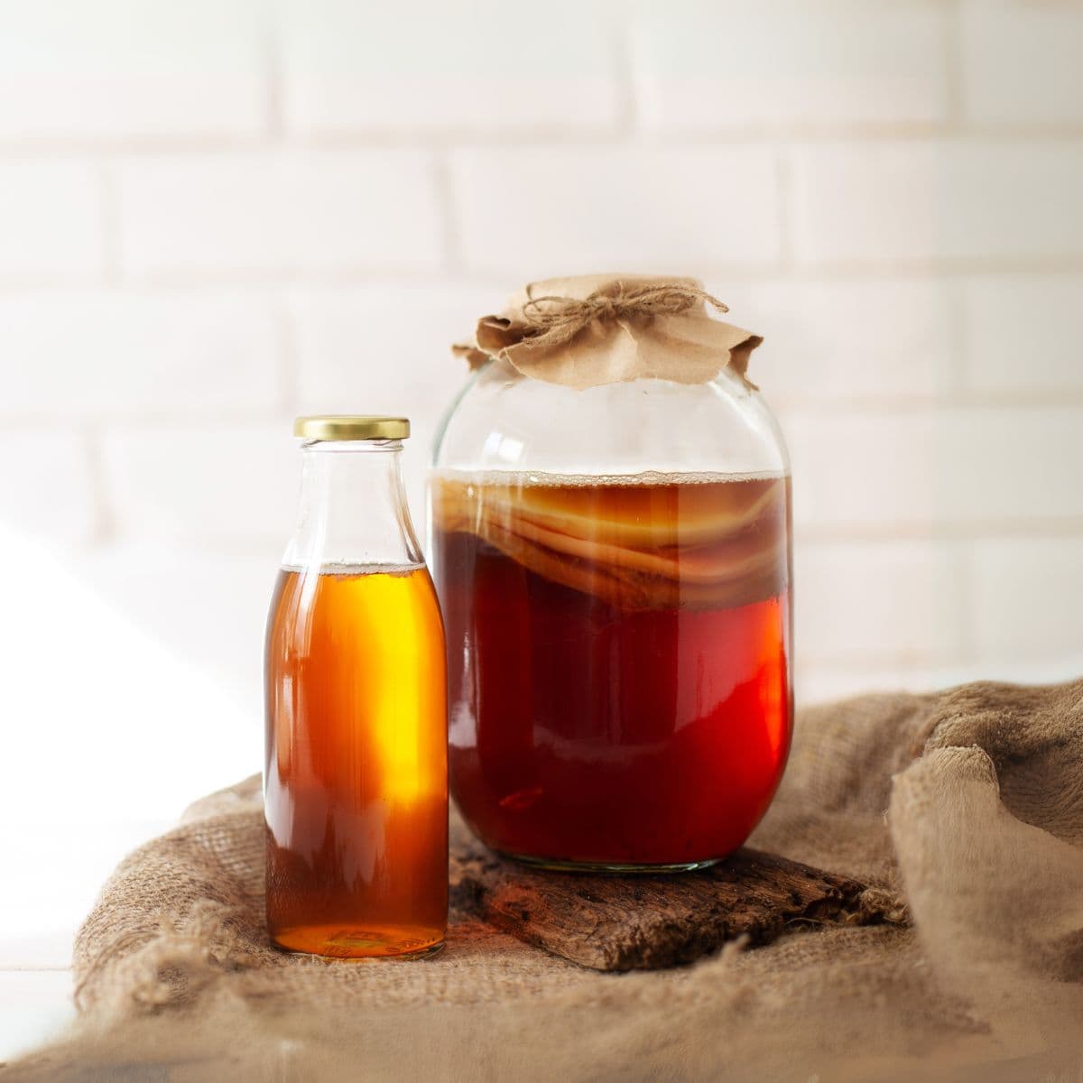 kombucha fungus | La Vie en Rose